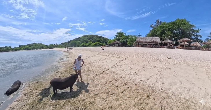 l'isle de Koh madsum aussi appelée l'ile aux cochons