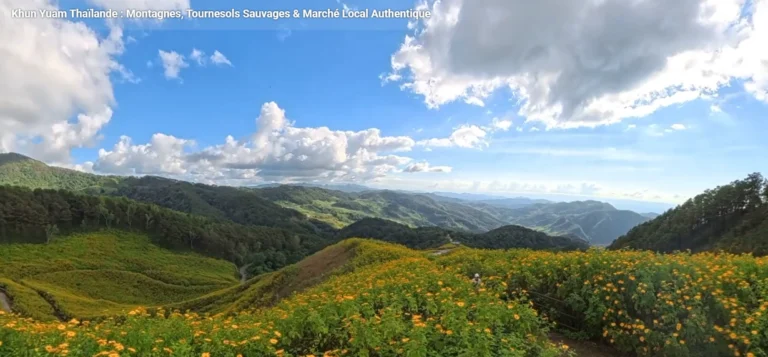 la floraison de novembre à Khun Yuam en Thaïlande