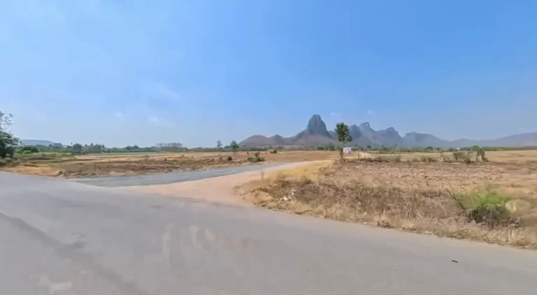 Photo illustrant l'article : Lopburi : Le mystère des singes temple Khmer millénaire