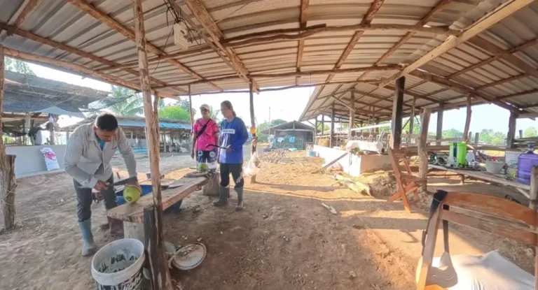 Photo illustrant l'article : IMMERSION en Ferme Rurale & Rencontres à BURIRAM